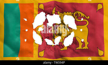 Les trous du drapeau Sri Lanka Banque D'Images