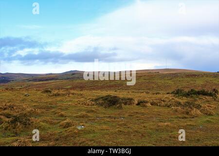 Dartmoor Humide et sauvage en hiver, entre les villes de Dousland et Princetown, Devon. Banque D'Images