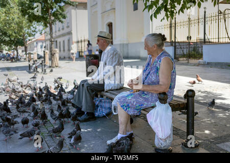 Belgrade, Serbie, 16 juin 2019 : Un vieux couple coin sur un banc entouré de pigeons à la place Masaryk (TRG) Masarikov à Zemun Banque D'Images