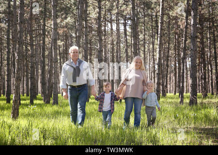 Les grands-parents et les enfants dans la forêt aux beaux jours Banque D'Images