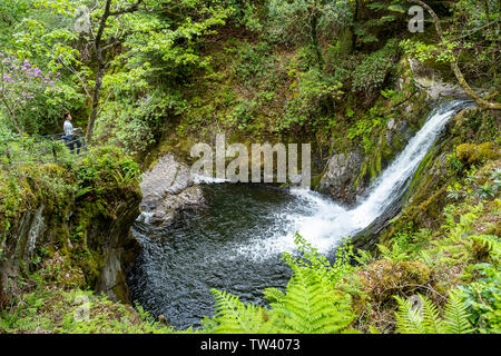 Mynach Falls, Pont du Diable, long way, Pontarfynach, au Pays de Galles Banque D'Images