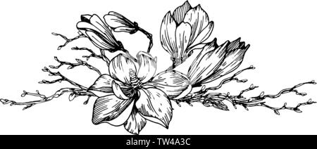 La composition avec magnolia fleurs et branches printemps avec reservoir Illustration de Vecteur