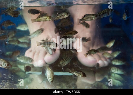 Des pieds, en utilisant peu de poisson à manger les peaux mortes, Zhenyuan, province de Guizhou, Chine Banque D'Images