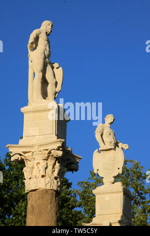 L'Espagne, Andalousie, Séville, Alameda de Hercules, colonnes romaines, Banque D'Images