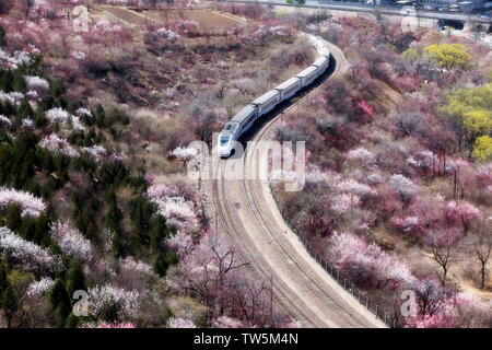 Fer Beijing-Zhang à Beijing, Chine, le train pour le printemps Banque D'Images