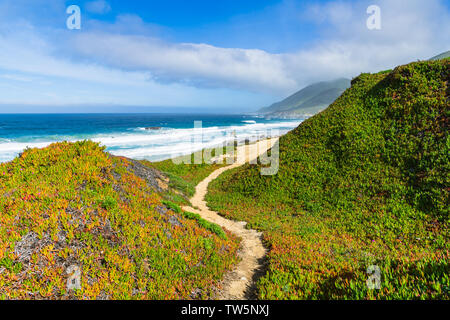 Un étroit sentier de randonnée à travers le paysage des courbes au-dessus de l'océan Pacifique le long de la côte de Big Sur Californie - Garrapata State Park Banque D'Images