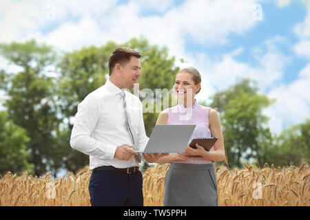 Deux agronomes avec ordinateur portable et tablette en champ de blé Banque D'Images