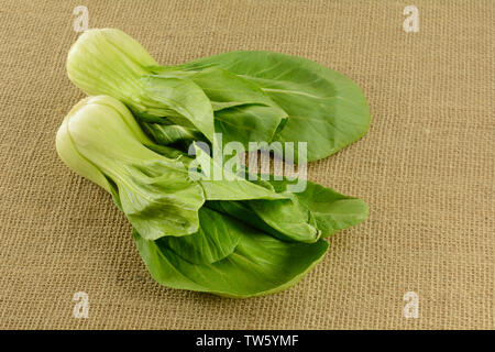 Deux matières le bok choy végétaux à feuilles vertes sur de la toile de jute Banque D'Images