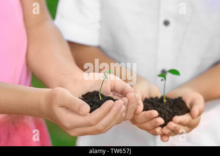 Kids holding le sol et les plantes dans les mains à l'extérieur Banque D'Images