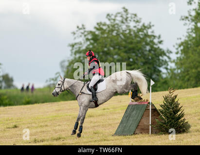 16 juin 2019, Maison Burgie, Forres, Moray, Ecosse, Royaume-Uni. C'est un participant au concours complet de l'événement britannique affiliés, Burgie Horse Trails. Banque D'Images