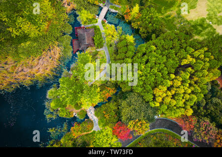 Décor de l'automne dans la région de la forêt dense écologique de la Nanjing Yuhuatai Scenic Area. Banque D'Images