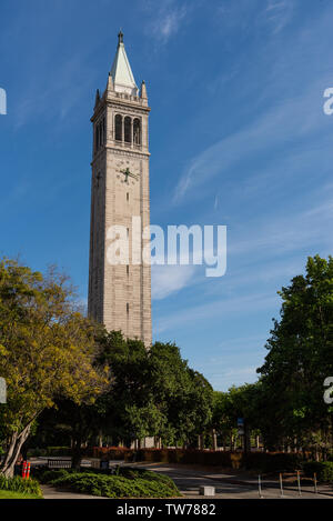 La Sather Tower, un clocher dans le campus de l'Université de Californie, Berkeley. Berkeley, Californie, USA. Banque D'Images