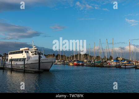 Bateaux au port de plaisance. Berkeley, Californie, USA. Banque D'Images