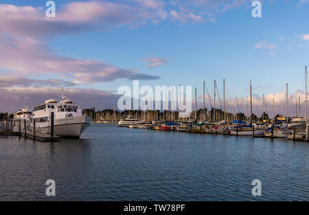 Bateaux au port de plaisance. Berkeley, Californie, USA. Banque D'Images