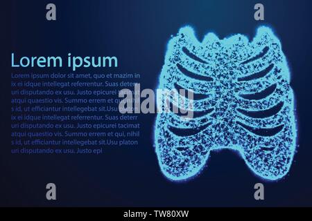 Cage thoracique, l'os, l'anatomie humaine. Résumé poly bas, Triangle, point, ligne, polygone. Fond bleu brillant, Vector illustration Illustration de Vecteur