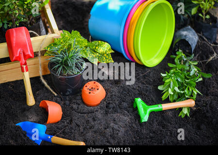 Outils de jardinage sur fond de sol prêt à planter des fleurs et petite plante au printemps jardin jardinage concept fonctionne les pots de fleurs coloré de sunn Banque D'Images