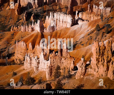 Des formations de roche Hoodoo à Bryce Canyon National Park Banque D'Images
