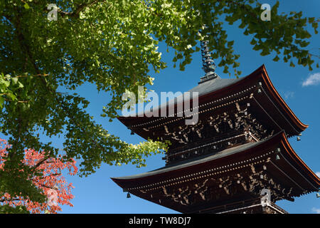 Hida Kokubunji Pagode du Temple et les feuilles d'un grand arbre Ginkgo plus de ciel bleu dans la ville de Takayama, préfecture de Gifu au Japon. Banque D'Images