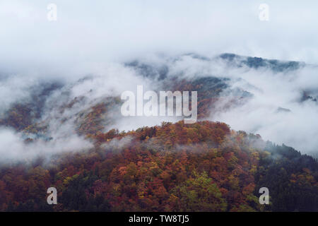 Collines couvertes d'arbres en automne et le brouillard du matin, beau paysage nature aérienne abstrait. Shirakawa, Gifu, Japon. Banque D'Images