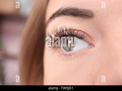 Oeil de belle jeune femme avec des extensions de cils, gros plan Banque D'Images