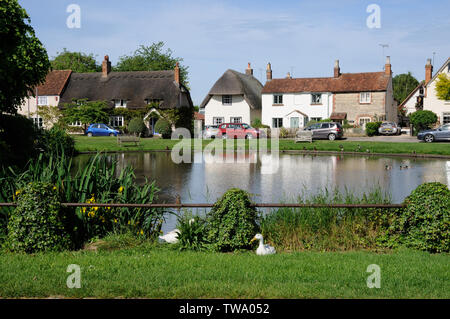 Vue sur l'étang à l'Église, fin Haddenham, Buckinghamshire. Canards ici une fois à condition que l'industrie de base de reproduction des canards d'Aylesbury. Banque D'Images