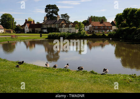 Vue sur l'étang à l'Église, fin Haddenham, Buckinghamshire. Canards ici une fois à condition que l'industrie de base de reproduction des canards d'Aylesbury. Banque D'Images