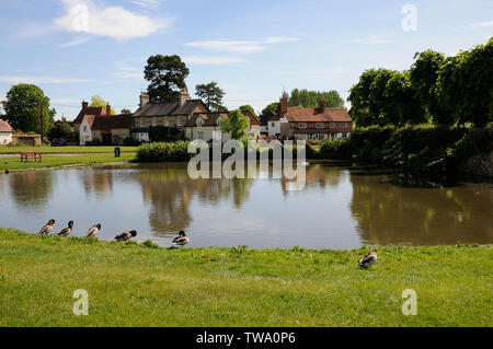 Vue sur l'étang à l'Église, fin Haddenham, Buckinghamshire. Canards ici une fois à condition que l'industrie de base de reproduction des canards d'Aylesbury. Banque D'Images