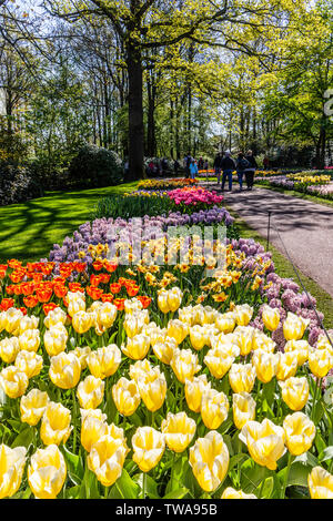 Jardins de Keukenhof incroyable affichage de printemps Fleurs Tulipes Banque D'Images