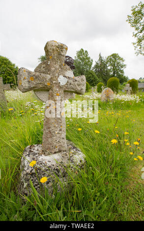 Pierres tombales anciennes au milieu de fleurs sauvages dans le cimetière de l'église St Mary, dans le village de Thorncombe, Dorset England UK GO Banque D'Images