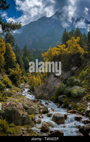 Rivière Baspa, Chitkul, Himachal Pradesh, Inde. Banque D'Images