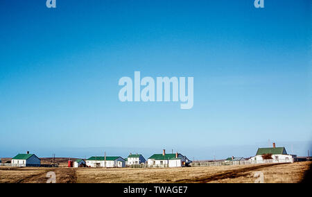 Falkland Island 1985. Le hameau de Fitzroy près de Port Stanley. Le hameau a été rendu célèbre lorsque les troupes Sir Galahad, ancrée dans l'estuaire à proximité a été bombardé par l'armée Argentine résultant en grande perte de vie en particulier ceux de la Garde galloise Banque D'Images