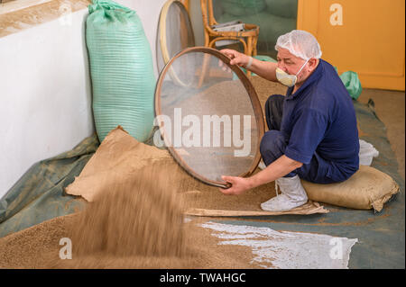 La ferme Sekem, Markaz Belbes, Egypte Banque D'Images