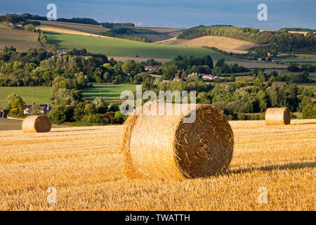 Bottes de paille sur la colline au-dessus des villages de Corton et Upton Lovell dans le département du. Banque D'Images