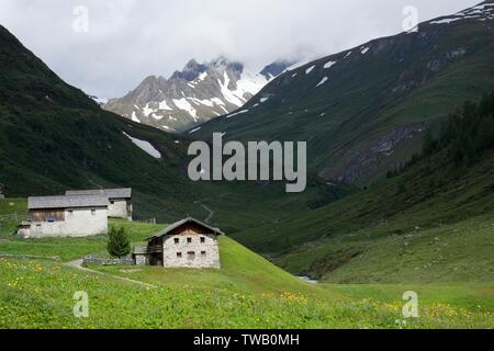 Autriche, Tyrol, Defereggental (vallée), Seebachalm dans l'Oberhaustal (vallée). Banque D'Images