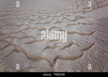 Allemagne, Schleswig-Holstein, texture à la plage sur l'île d'Amrum, côte de la mer du Nord. Banque D'Images