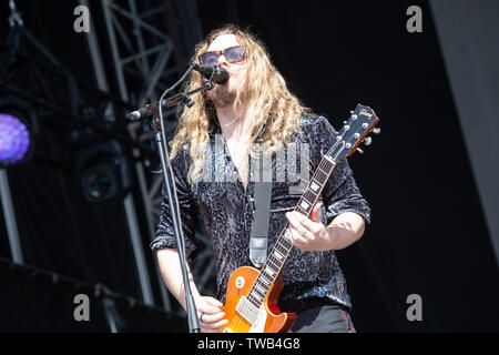 Florence , 15 juin 2009. Le framework Struts effectue @ FIrenze Rocks 2019, Ippodromo del visarno , Firenze, Italie. Copyright Davide Merli | Alamy Banque D'Images