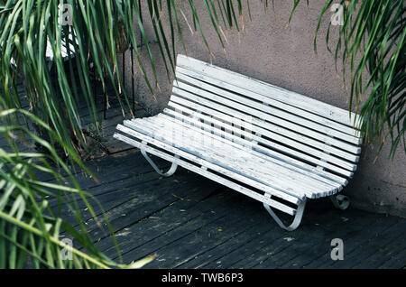 Banc en bois blanc vintage sur un plancher en bois sur fond de mur gris. Style de vie, decking en bois plancher sur la terrasse avec des feuilles de palmier piscine place. Banque D'Images