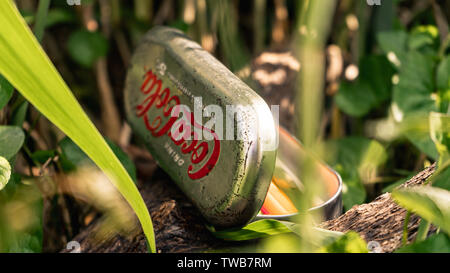 Groningen, Pays-Bas - 6 juin 2019 - Ancien, vintage Coca Cola Boîte de crayons dans la nature Banque D'Images