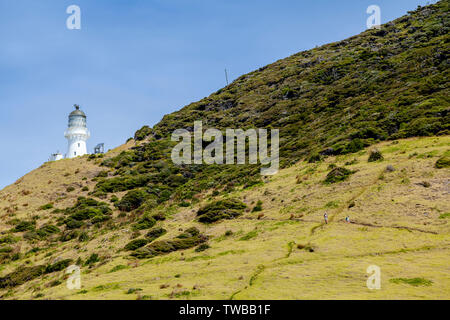 Le phare de Cape Brett, la Bay of Islands, Île du Nord, Nouvelle-Zélande Banque D'Images