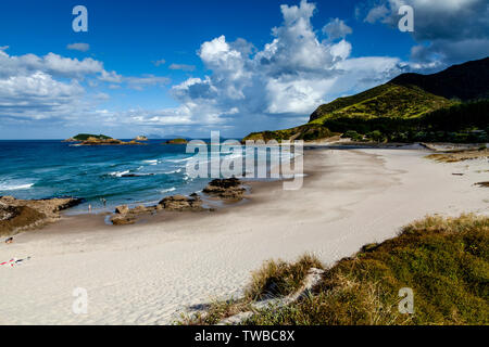 Ocean Beach, Whangarei Heads, île du Nord, Nouvelle-Zélande Banque D'Images