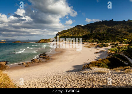 Ocean Beach, Whangarei Heads, île du Nord, Nouvelle-Zélande Banque D'Images