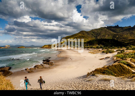 Ocean Beach, Whangarei Heads, île du Nord, Nouvelle-Zélande Banque D'Images