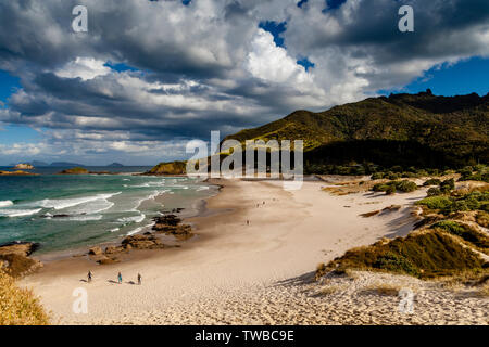 Ocean Beach, Whangarei Heads, île du Nord, Nouvelle-Zélande Banque D'Images