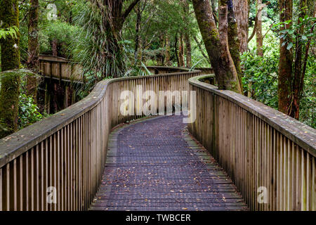 AH Reed Memorial Kauri Passerelle, Whangarei, île du Nord, Nouvelle-Zélande Banque D'Images