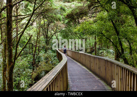 AH Reed Memorial Kauri Passerelle, Whangarei, île du Nord, Nouvelle-Zélande Banque D'Images