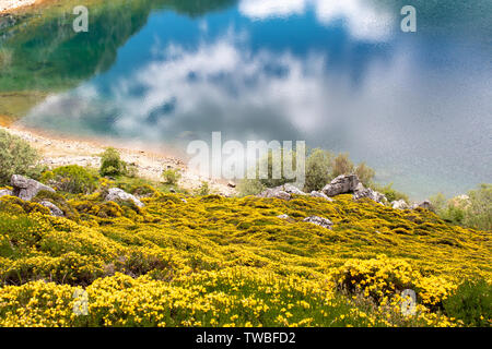 Paysage de printemps avec des fleurs jaunes près de la Saliencia Lacs de montagne. Cueva Lake dans le parc national de Somiedo, Asturies, Espagne. Je réflexions nuages Banque D'Images