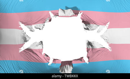 Transgender Pride drapeau avec un gros trou Banque D'Images