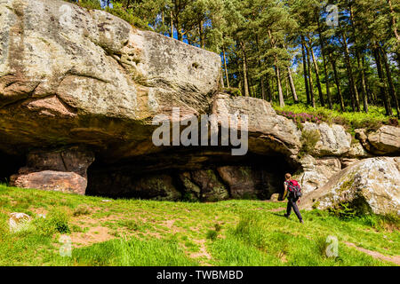 Une femelle Walker à l'approche de St Cuthbert's Cave, un site le long du sentier de St Cuthbert's Way. Holburn, Northumberland, Angleterre. Juin 2017. Banque D'Images