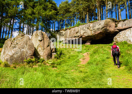 Une femelle walker en direction de St Cuthbert's Cave, un site le long du sentier de St Cuthbert's Way. Holburn, Northumberland, Angleterre. Juin 2017. Banque D'Images