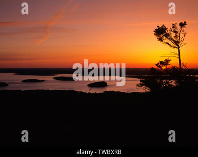 Lever du soleil sur la baie Frenchman de Cadillac Mountain dans l'Acadia National Park, Maine USA. Banque D'Images